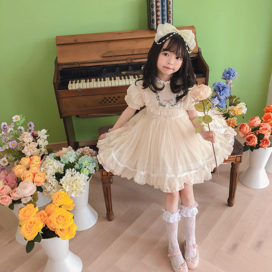 Girls Lace Dress Princess Tutu Skirt