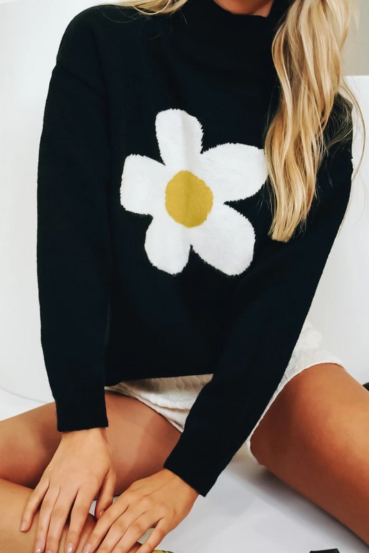 Casual Cute Poached Egg Knitted Turtleneck Long Sleeve Sweater